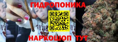 дживик Лесосибирск