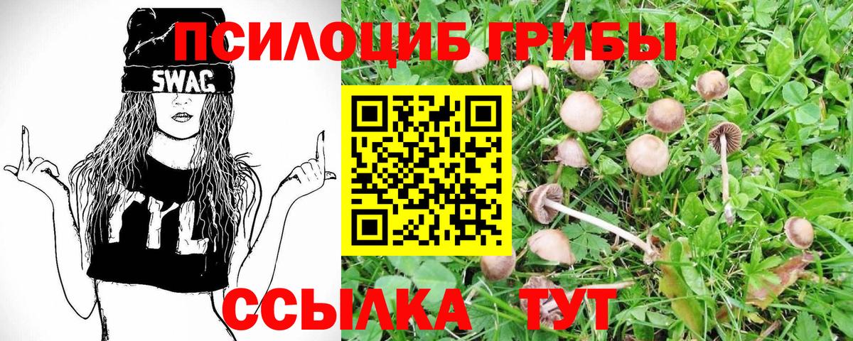сколько стоит  Галлюциногенные грибы Magic Shrooms  Вход с VPN  Шарыпово 